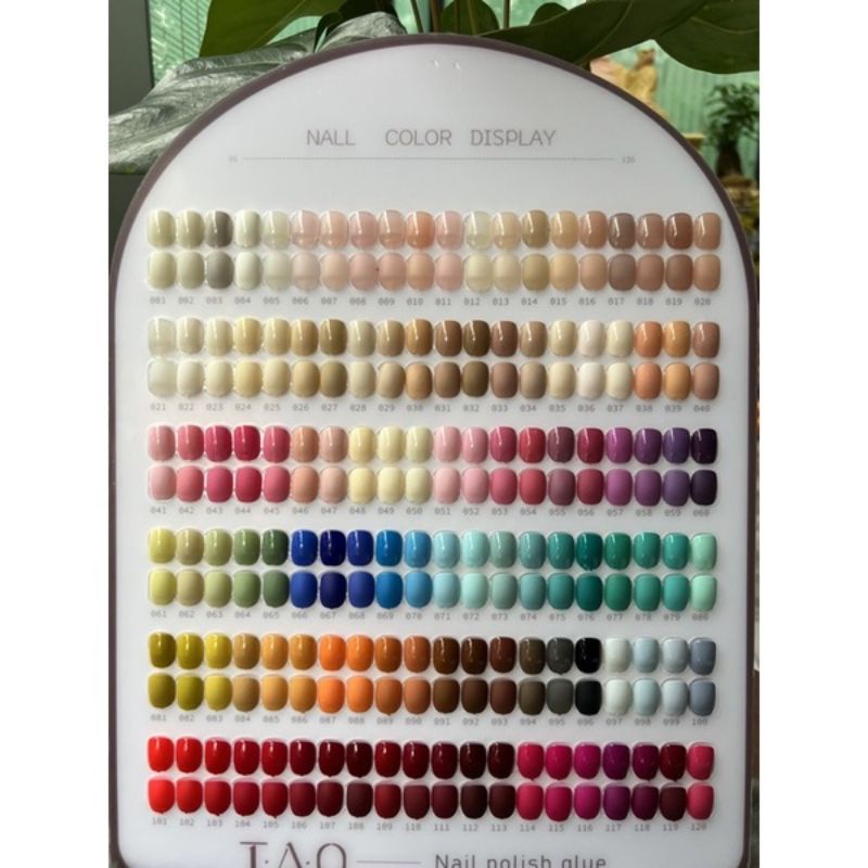 Set sơn Tao 120 màu tặng bảng màu base top