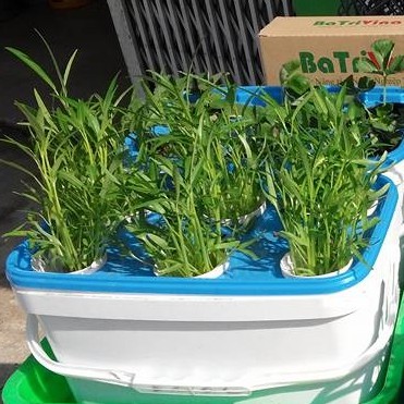 BÚT ĐO NỒNG ĐỘ DINH DƯỠNG THỦY CANH LOẠI 1