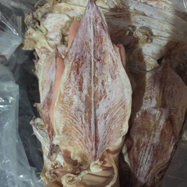 [MỰC NGON, NGỌT]  10 Con Mực Câu Khô Vân Đồn To Bằng Bàn Tay, Y hình