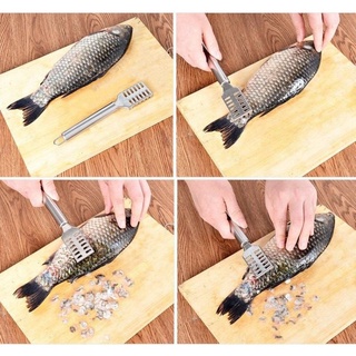 Dụng Cụ Đánh Vẩy Cá Giúp Làm Sạch Vảy Cá Inox
