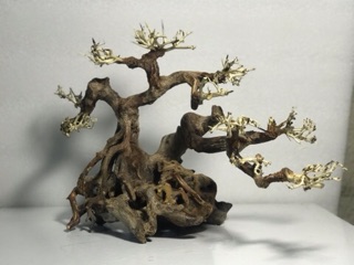 Bonsai cổ thụ cho bể cá thuỷ sinh D38xC28