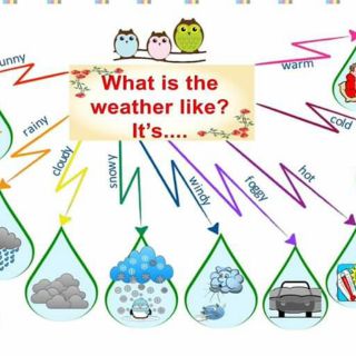Set sơ đồ tư duy TA