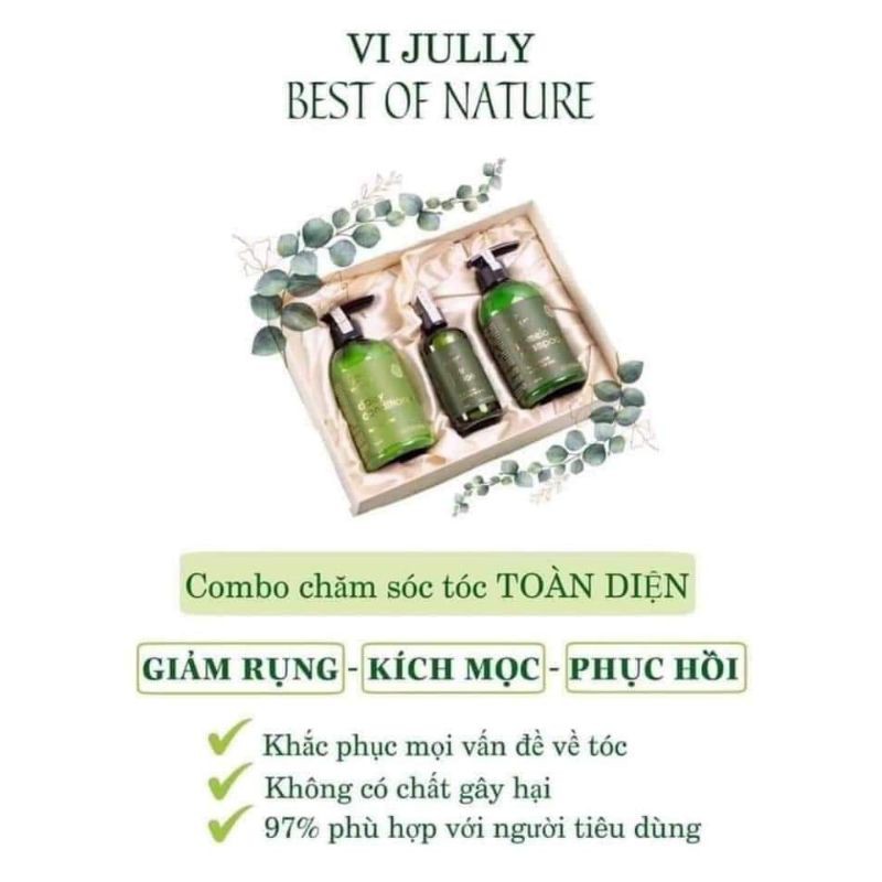 COMBO DẦU GỘI+ DẦU XẢ+ XỊT BƯỞI VIJULY