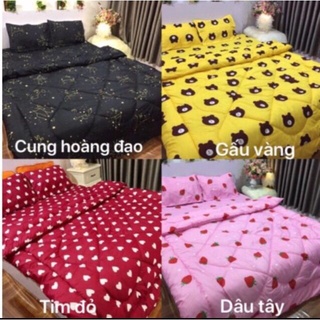 chăn phao siêu nhẹ siêu ấm nhiều mẫu