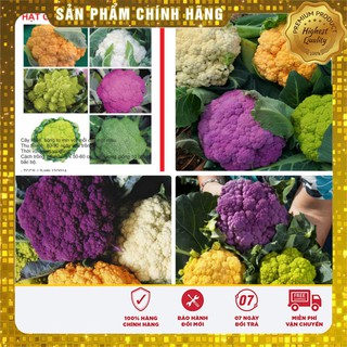 Hạt Giống Súp Lơ Mix 10 Hạt