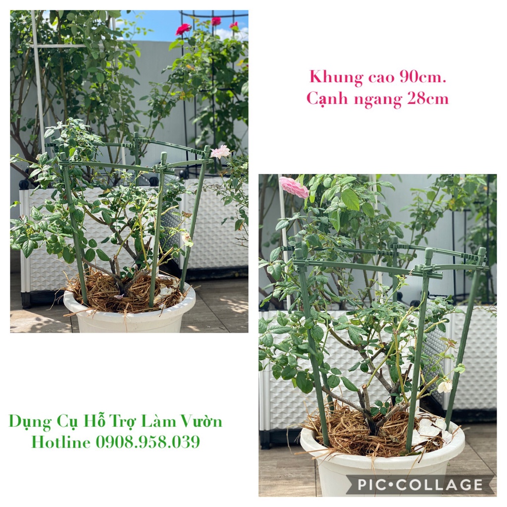 Khung trồng hoa 5 cạnh dài 28cm cao 90cm của Nhật chuyên dùng trồng các cây hoa bụi thấp như hoa hồng, hoa trồng chậu