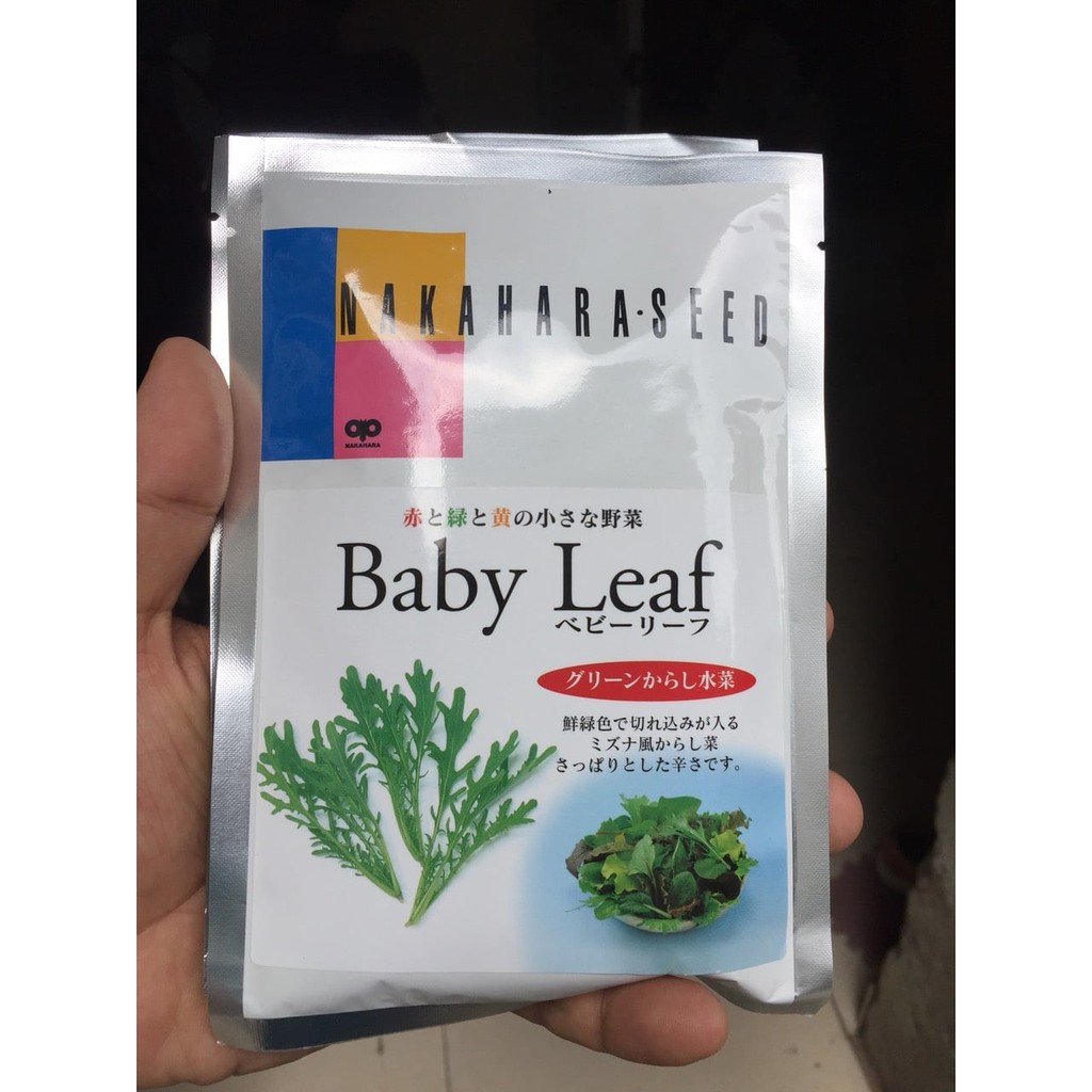 ATP Farm - Hạt giống cải Mizuna BABYLEAF - Nhật Bản