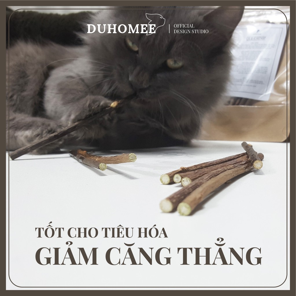 Combo 3-5 que catnip phê pha cho mèo - Catca