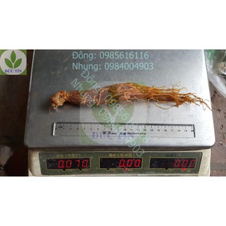 Sâm dâu (100g)