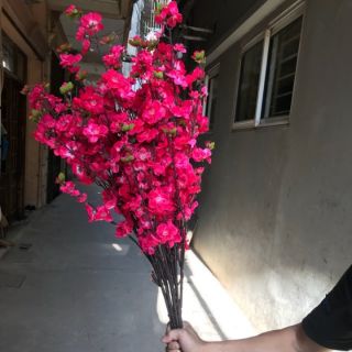 10 cành hoa anh đào màu đỏ giá tốt