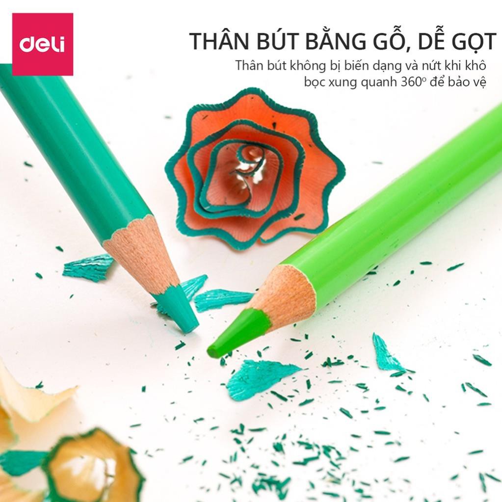 Bút chì màu gốc dầu cao cấp Deli - gỗ tự nhiên - 24/ 36/ 48/72 Màu - 6565 / 6566 / 6567 / 6568