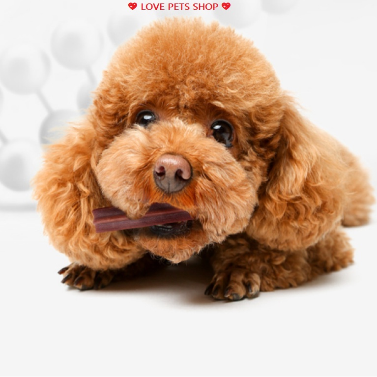 XƯƠNG GẶM CHO CHÓ SẠCH RĂNG, THƠM MIỆNG DẠNG HỘP MASTI HỘP 220GRAM - LOVE PETS SHOP