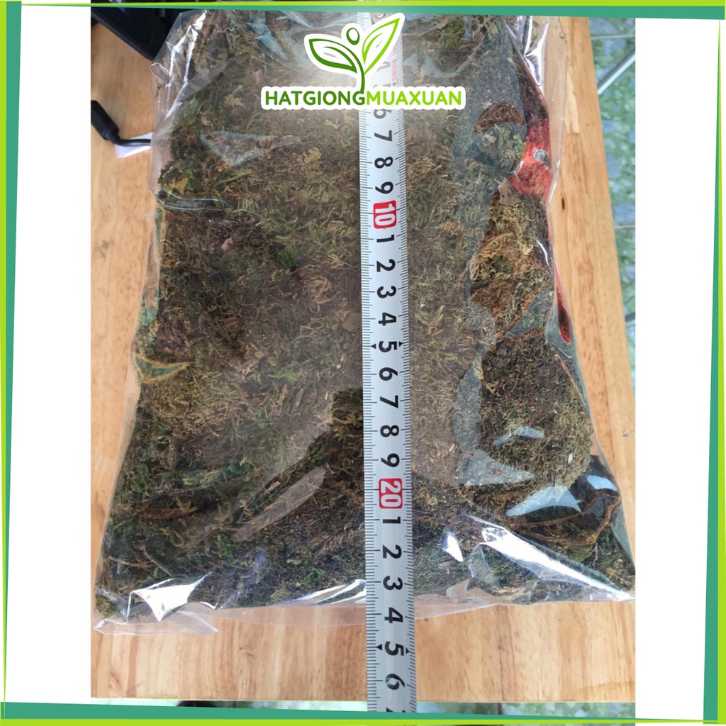[SIEURE] Rêu rừng gói 500gr hàng đẹp, phân phối chuyên nghiệp.