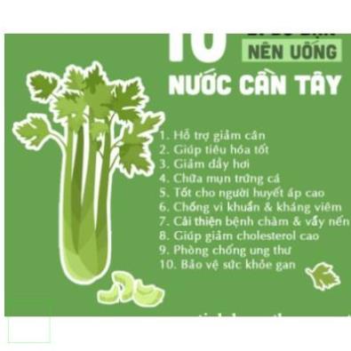 100Gr Bột Cần Tây sấy lạnh nguyên chất 100% handmade