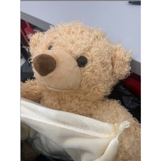 Gấu Bông đồ chơi Peek-A-Boo™ ú oà dễ thương [Giá đẳng cấp]