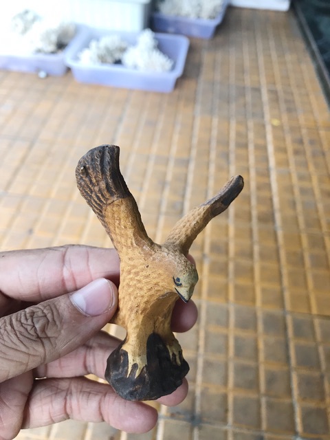 ĐẠI BÀNG TRANG TRÍ HỒ CÁ NON BỘ CAO 9CM