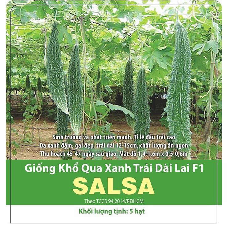 Khổ Qua Trái Dài F1 Salsa Thanh Ngọt -Năng Suất Cao