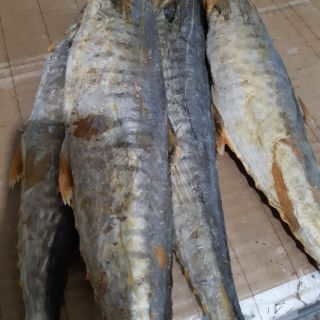 Combo cá thu, cá mối và cá nục