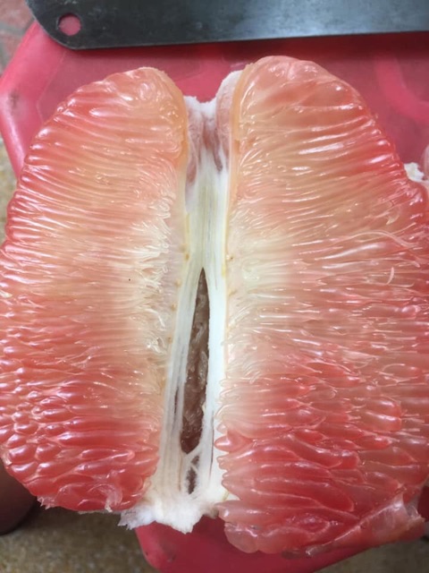 ] Bưởi da xanh bến tre ( 1-1.2kg ) | BigBuy360 - bigbuy360.vn