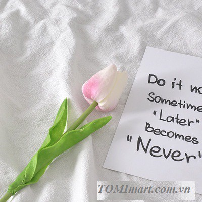 Đạo cụ chụp hình - Hoa tulip cao cấp