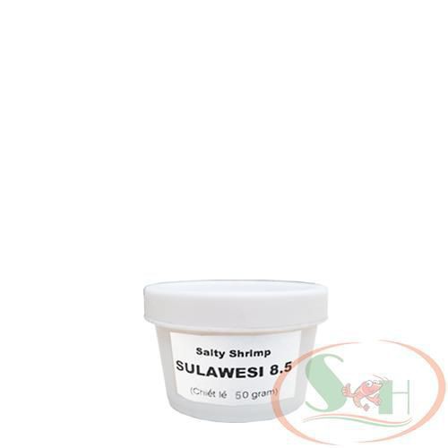 Khoáng Bột Salty Shrimp Sulawesi Mineral 8.5 Cao Cấp