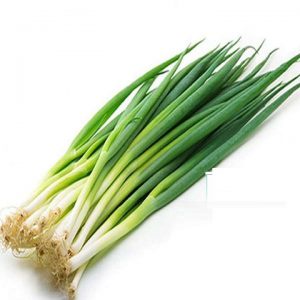 Hành Hương Chịu Nhiệt RADO 215