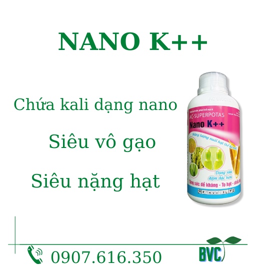 NANO K++ (500ml) chứa kali hữu hiệu giúp cứng cây, đứng lá, vào gạo cực mạnh, hạt to sáng chắc
