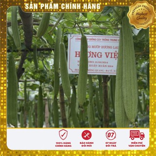Hạt Giống Mướp Hương Thái Lan