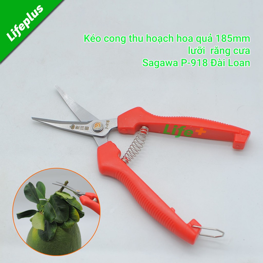 Kéo mũi cong thu hoạch hoa quả 180mm Sagawa P-918