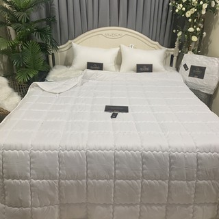 Ruột chăn hè , kích thước 2mx2m3