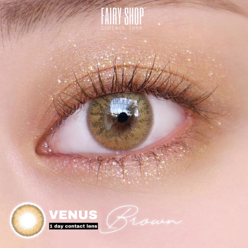 Lens 1 Ngày Venus Brown - Kính Áp Tròng Cao Cấp 1 Ngày FAIRY SHOP CONTACT LENS