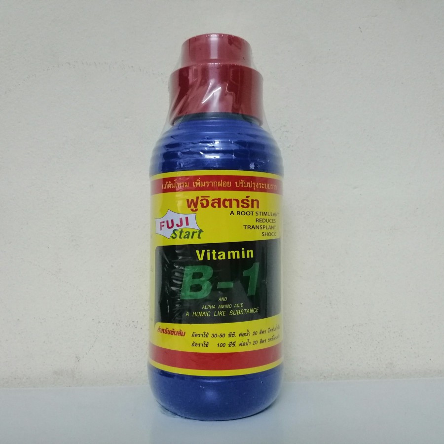 Thuốc kích rễ vitamin B1 star-thái lan 500ml