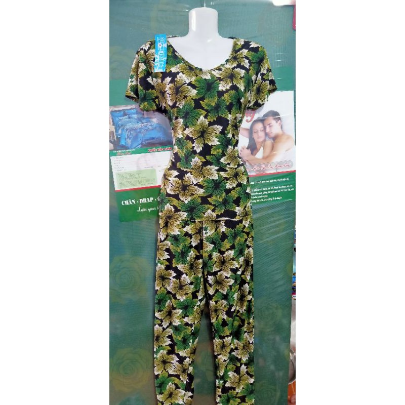 Đồ Bộ THUN LẠNH Trung Niên Dài