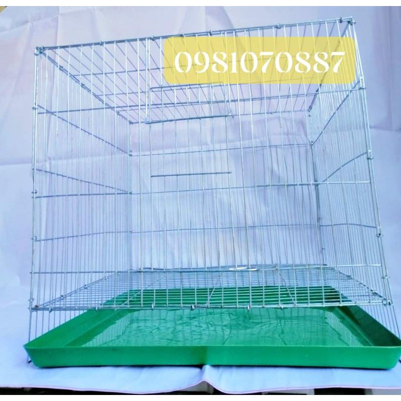 Lồng mèo tặng khay hứng phân