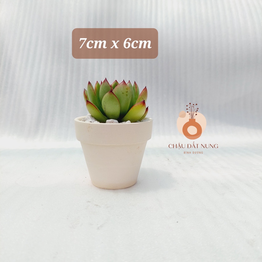 Chậu đất nung, Chậu sen đá - Chậu ly có gờ 76, miệng chậu 7cm, chiều cao 6cm [BESTSELLERS]
