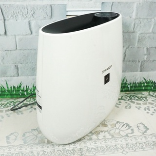 Máy lọc không khí Sharp FP J30E