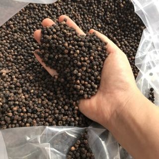 (1kg)HẠT TIÊU ĐEN DAK NÔNG NHÀ TRỒNG