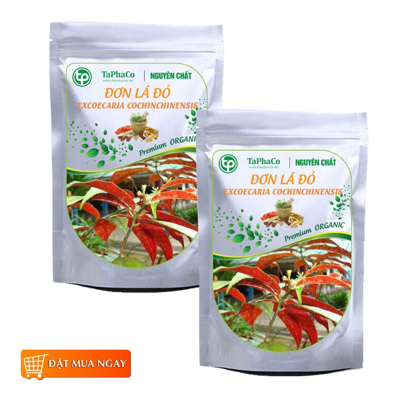 Lá đơn đỏ khô - Thảo dược Tấn Phát
