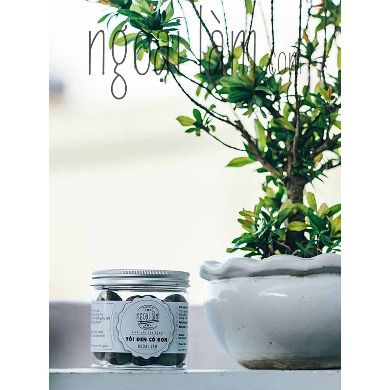 100g - Tỏi đen cô đơn Ngoại làm LÊN MEN 60 NGÀY - chỉ số SAC, Polyphenol cực cao | BigBuy360 - bigbuy360.vn