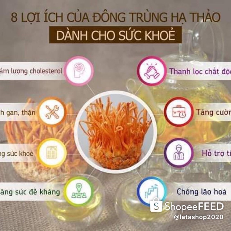 [Lọ 50g] Đông Trùng Hạ Thảo Học Viện Hậu Cần sấy thăng hoa cao cấp