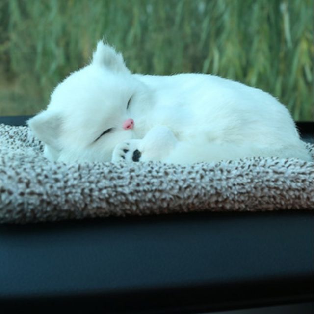 Thú bông than hoạt tính - mèo trắng