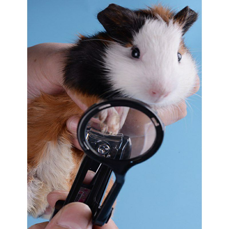 Bấm móng kèm kính lúp cho hamster,guinepig và thú cưng nhỏ