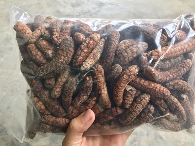 🍀HÀNG TỐT🍀 1kg chuối hột rừng nguyên quả Tây Bắc