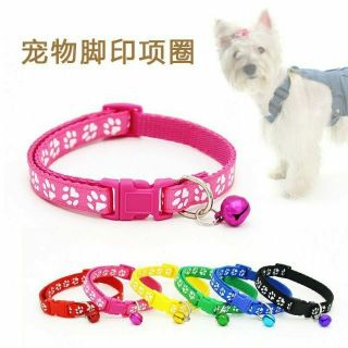 Vòng cổ có chuông cho thú cưng