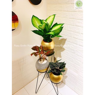 Kệ cây, kệ hoa 3 tầng