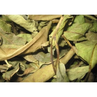500g chè vối khô quê