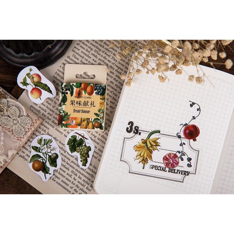 Bộ 45 Sticker Hàn Quốc hình Quả dán trang trí E20