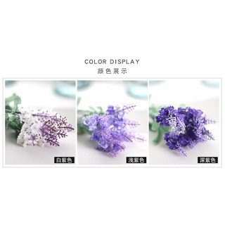 Hoa giả - Hoa Lavender