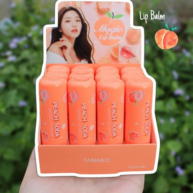 Soņ dưỡng môi Tanako Magic Lip Balm Thái Lan hộp 12 thỏi