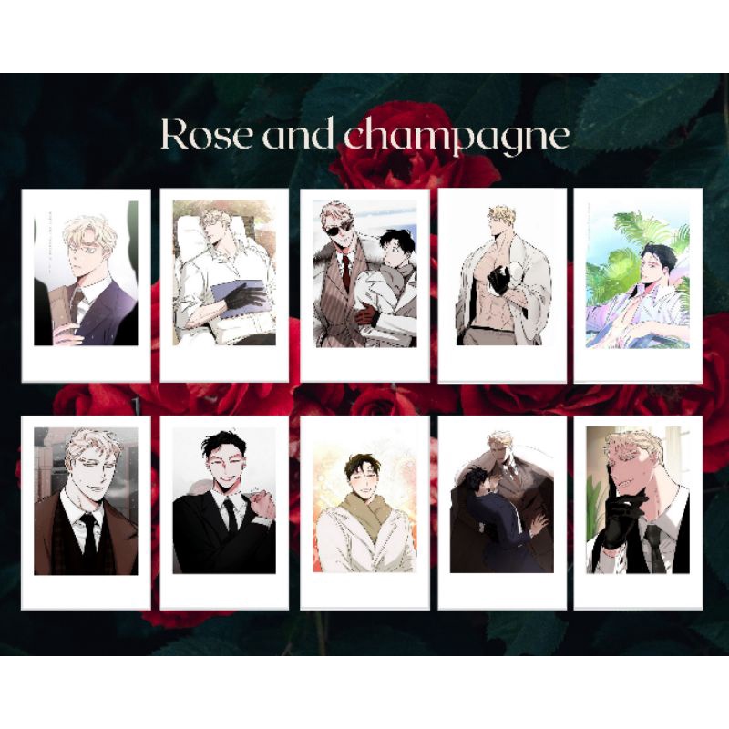 Set 10 tấm POLAROID BL